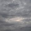 _piupiu_23