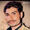 qamarabbas4323