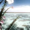 dooma_51