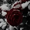 sofia_12ios