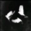 .iqws_