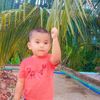 alif8268