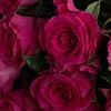 ana_ahmed17