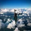 the_lext