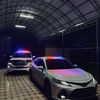 niazov0017
