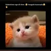 luamooti