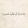 user7981033067395