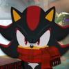 shadow..the_hedgehog