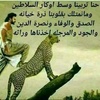 mohammed777575881