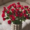 thany.sroor