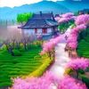 user4082020981020