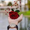 asmaaali0322