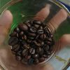 menjual_mulu33