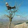 hakimmouwal