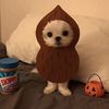jeremiah.vvv