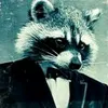 agente_guaxinim