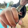 ganster_squid