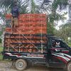 triardiansyah84