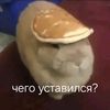 ai_bing