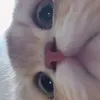 jukay118