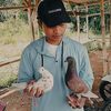 pecintamerpati11