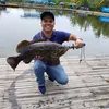 TOKO JUNAIDI PANCING