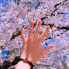 _trang184