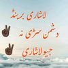 chieflashari2452