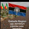 cabdiwakiilzak0905780788