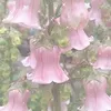 maraaxx_00