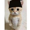 fajarkurniawannnnnnnn