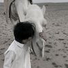 iolp_a