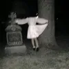 wvvwampire