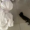 putriia0