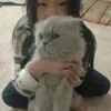 aivan_baby_15