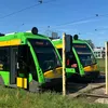 kleszczewiak