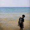 vellpagau_