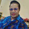 dinaaplena2