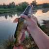 hunterbatchelor51