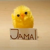 jamal_official00