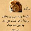 hamzabejaia267