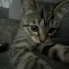 lianee.annee