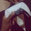 rich_spartan10