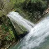 pinasalvo7