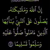 user5798533456845