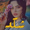 user2920681883651