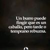 cordokoxd3a