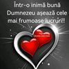 nelut100