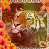 user1861871766172