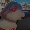 melzinhaaa30